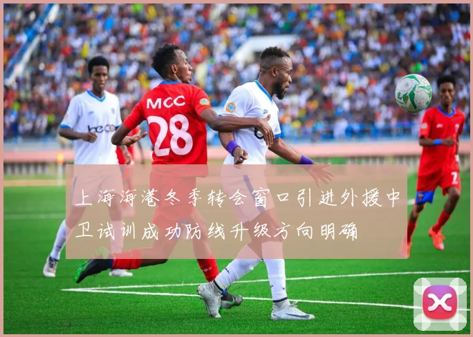 上海海港冬季转会窗口引进外援中卫试训成功防线升级方向明确
