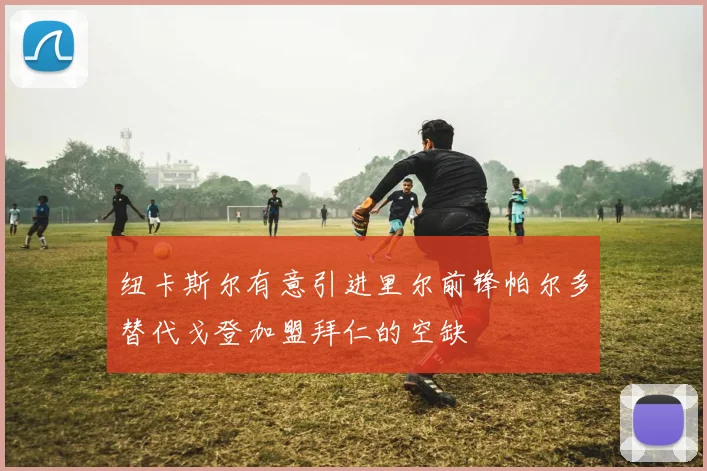 纽卡斯尔有意引进里尔前锋帕尔多替代戈登加盟拜仁的空缺