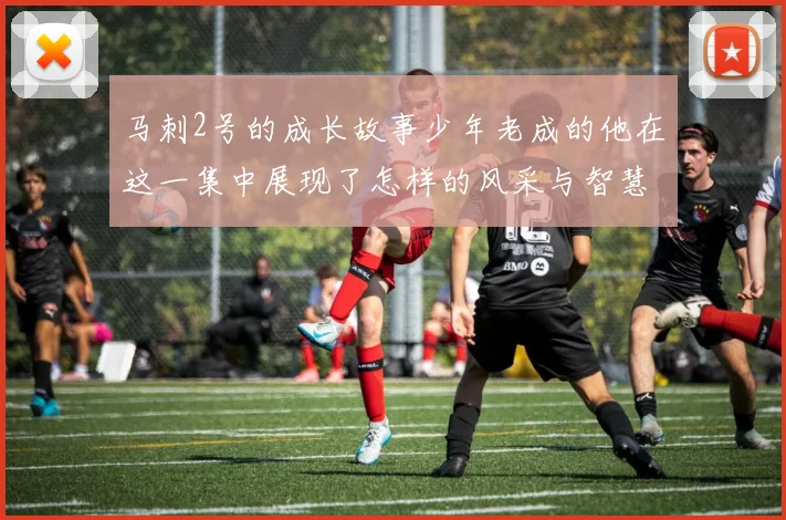 马刺2号的成长故事少年老成的他在这一集中展现了怎样的风采与智慧